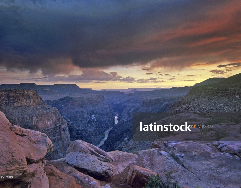 Río Colorado bajo cielo tormentoso, visto desde el mirador Toroweap, Parque Nacional Gran Cañón, Ari