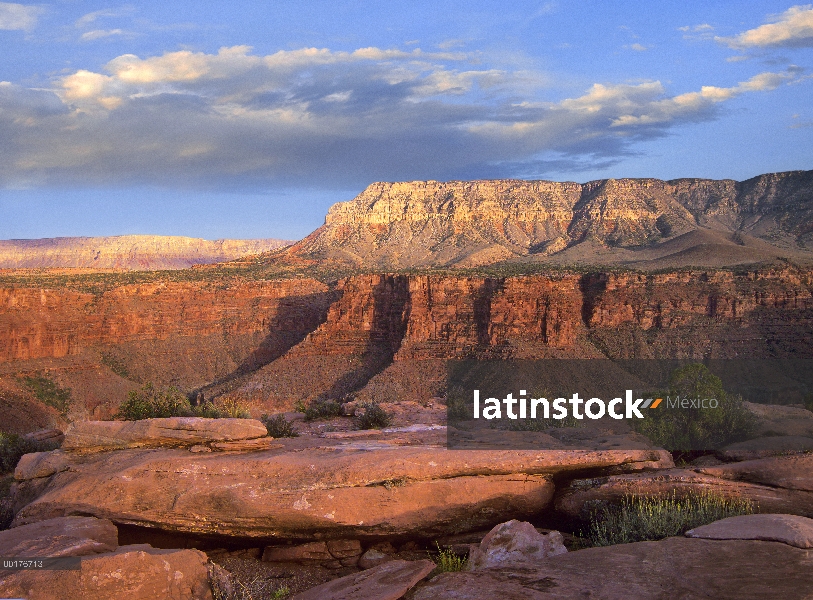 Aubrey vistas a acantilados de Toroweap, Parque Nacional Gran Cañón, Arizona