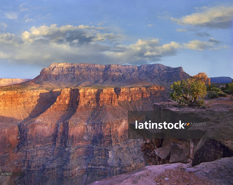 Acantilados de piedra arenisca y cañón visto desde mirador Toroweap, Parque Nacional Gran Cañón, Ari