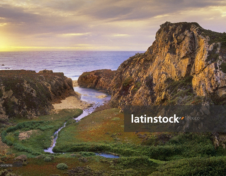 Garrapata Creek que fluye hacia el Océano Pacífico, playa estatal de Garrapata, Big Sur, California