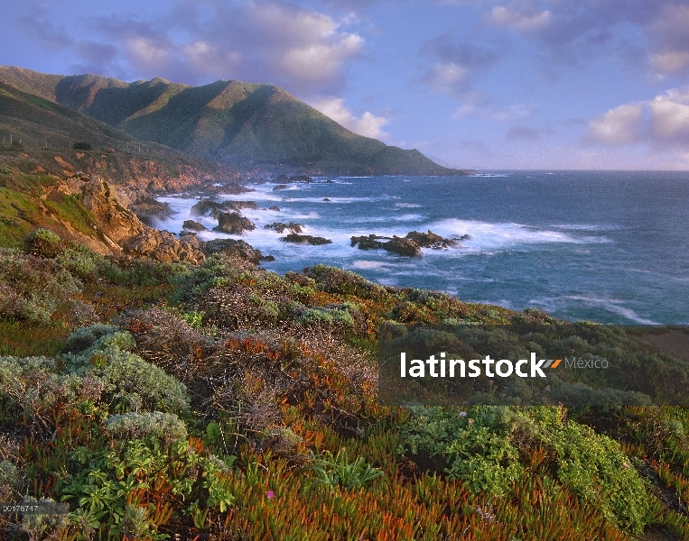 Acantilados y el Océano Pacífico, playa estatal de Garrapata, Big Sur, California