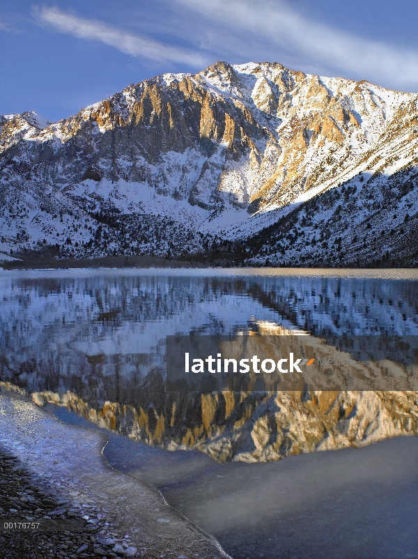 Laurel de montaña reflejada en el lago condenado, este de Sierra Nevada, California