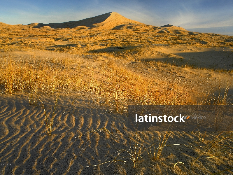 Dunas de Kelso y pastos, Reserva Nacional de Mojave, California