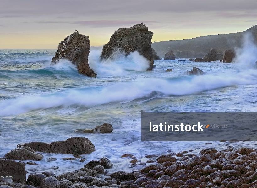 Cala y seastacks estado de Garrapata, cerca playa de Big Sur, California