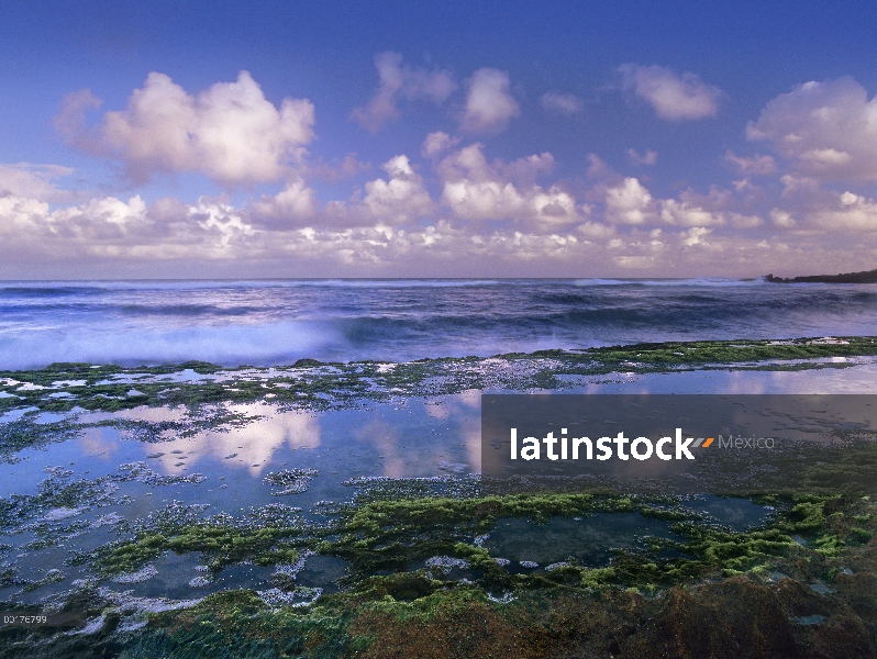 Pozas y olas en la playa de Ho'okipa, Maui, Hawaii