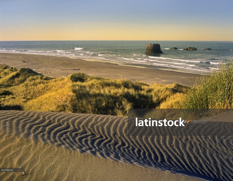 Costa, playa fluvial de pistola, Oregon