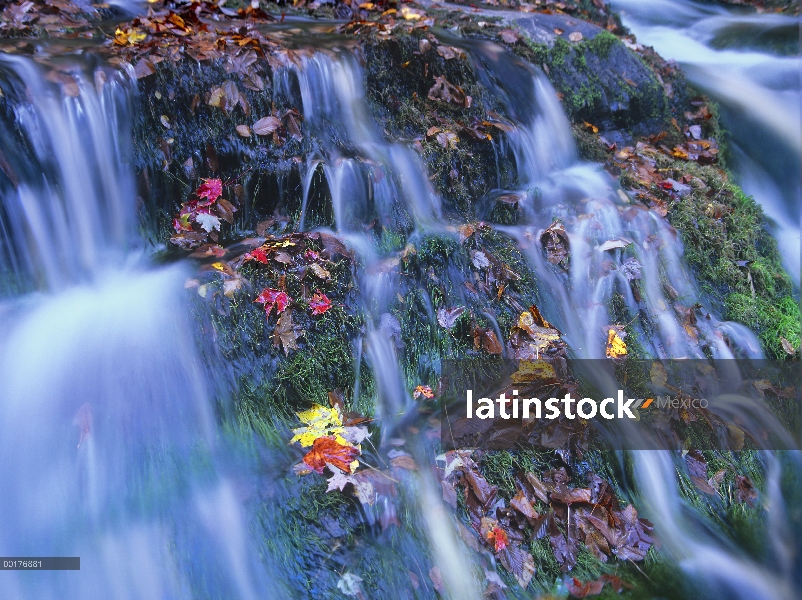 Laurel Creek cascadas, Parque nacional Great Smoky, Tennessee