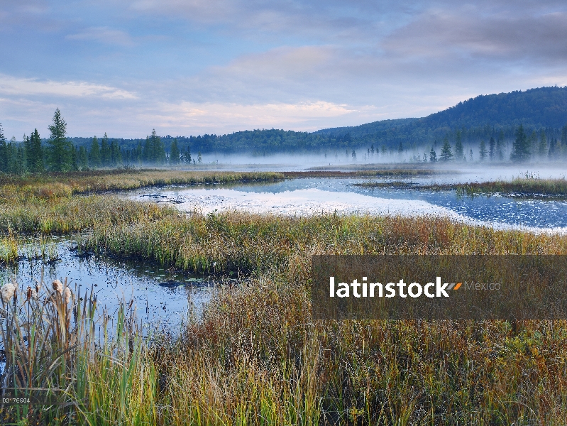 Costello Creek, Parque Provincial de Algonquin, Ontario, Canadá