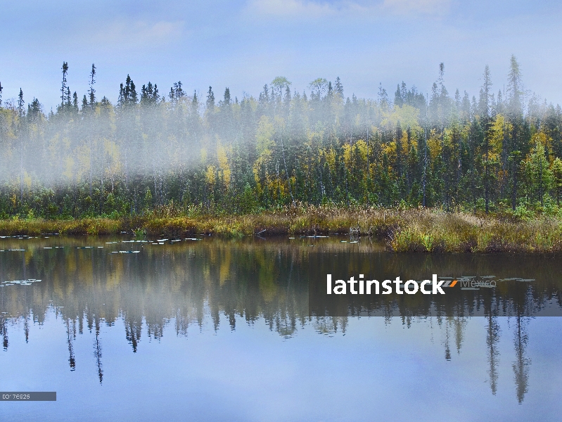 Niebla sobre el lago, Ontario, Canadá