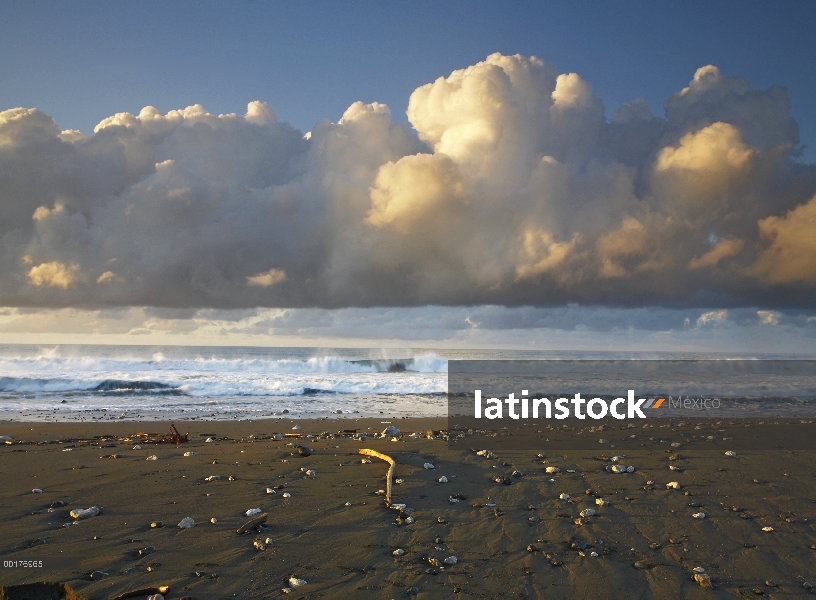 Playa y olas, Parque Nacional Corcovado, Costa Rica