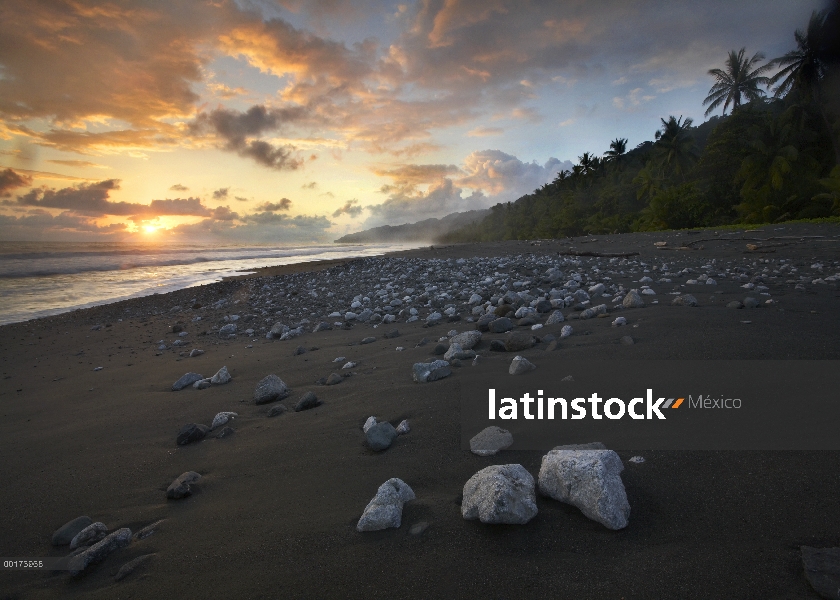 Rocas en la playa, el Parque Nacional Corcovado, Costa Rica