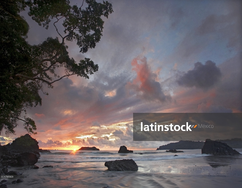 Playa y Costa, Manuel Antonio National Park, Costa Rica