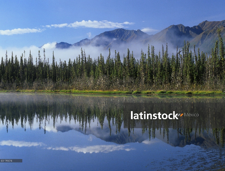 Lago que refleja la gama de la montaña y el bosque, Parque Nacional de Kluane, Yukon, Canadá