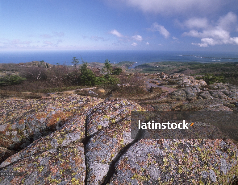 Rocas cubiertas de liquen en la montaña de Cadillac con vistas al océano Atlántico, el Parque Nacion