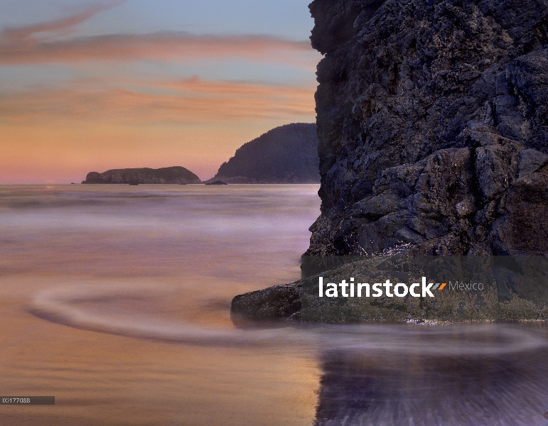 Seastack cubierta de percebes al atardecer, playa fluvial de pistola, Oregon