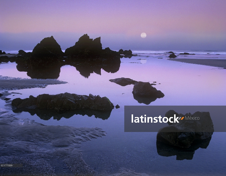 Rocas al atardecer en la playa de Bandon con luna creciente, Oregon