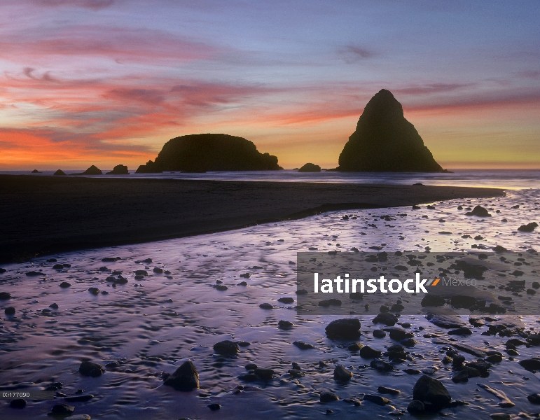 Playa de Whaleshead con pilas de mar, Oregon