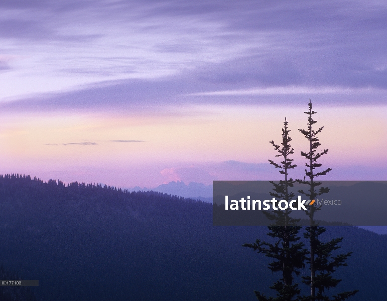 Cordillera de las cascadas desde el punto de salida del sol, Mount Rainier National Park, Washington