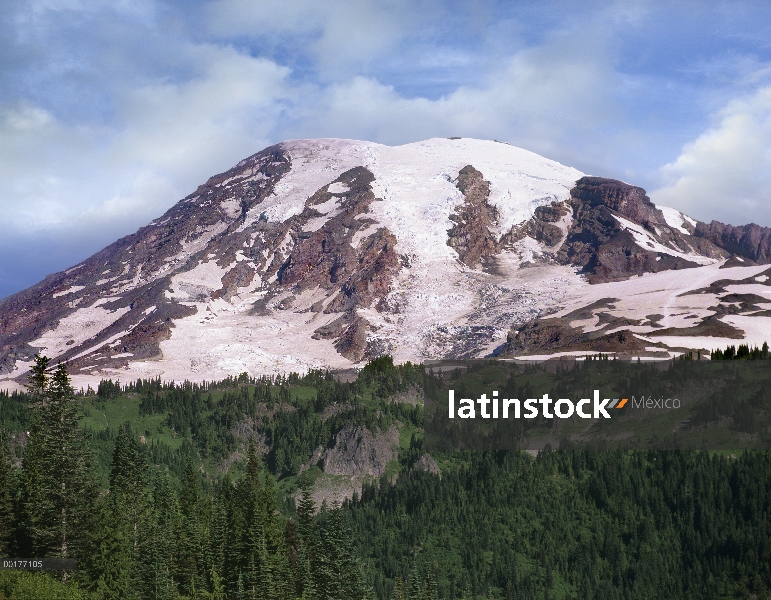 Monte Rainier con bosque de coníferas, Parque Nacional del Monte Rainier, Washington