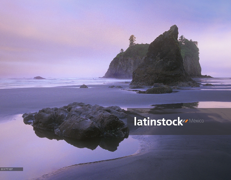 Playa de Ruby con seastacks y rocas, Parque Nacional Olympic, Washington