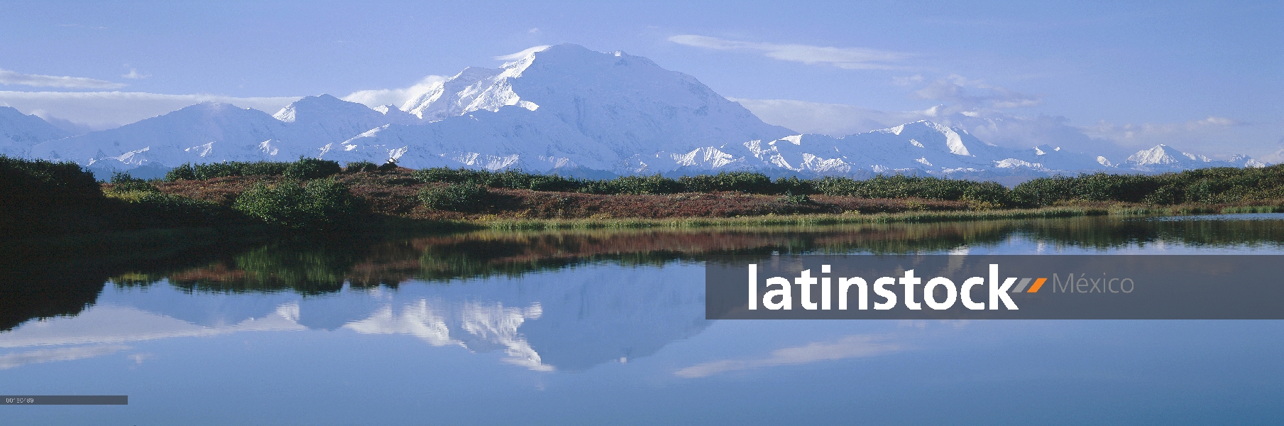 MT Denali refleja en estanques de la tundra, Parque Nacional de Denali y Preserve, Alaska