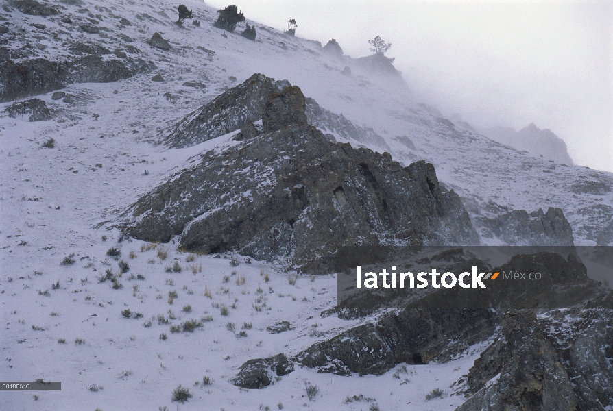 Miller butte y cuevas, Refugio Nacional de Elk, Wyoming