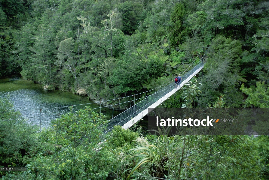 Excursionista cruzando el puente colgante, Abel Tasman National Park, Isla Sur, Nueva Zelanda