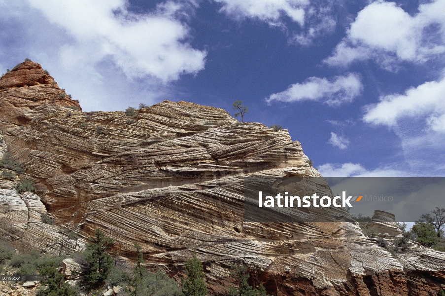 Erosión revela discontinuidades en piedra arenisca sedimentaria, Parque Nacional de Zion, Utah