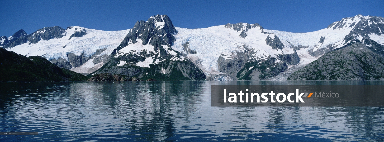 Glaciares que fluyen abajo de hielo Harding campo, fiordo noroeste, Parque Nacional Kenai Fjords, Al