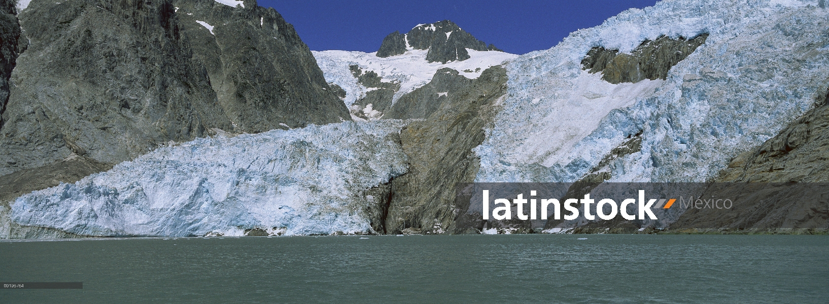 Glaciar noroccidental se derrama fuera del campo de hielo Harding en el océano, Parque Nacional Kena