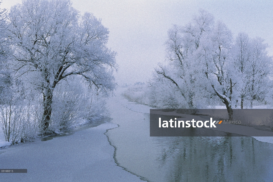 Río Loisach cubierto con una capa de nieve fresca, lago Kochel, alta Baviera, Alemania