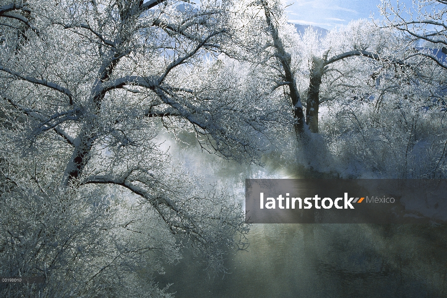 Luz del sol ilumina la niebla y la helada río Loisach de alta Baviera, Alemania