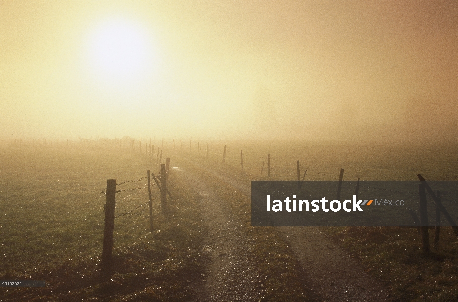 Camino de tierra, la cerca y el sol brillando a través de la mañana la niebla, Baviera, Alemania