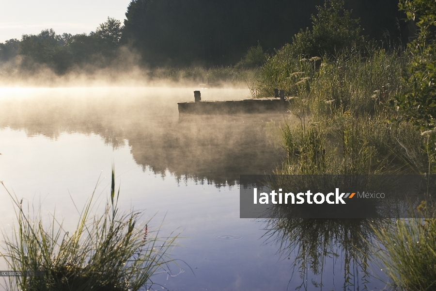 Estanque en la niebla de la mañana temprana, alta Baviera, Alemania