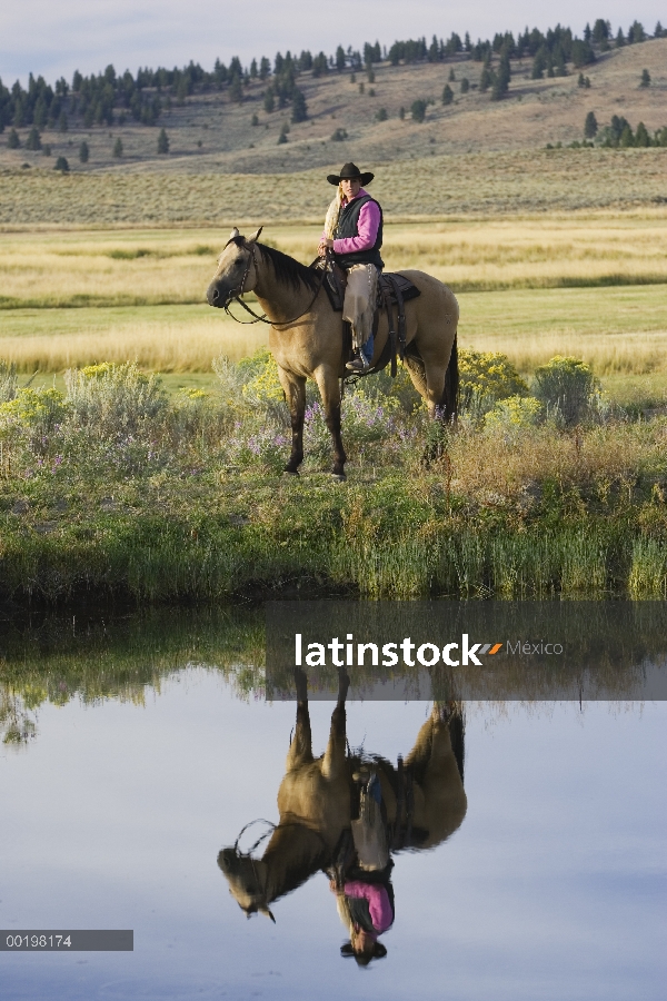 Vaquera en el caballo doméstico (caballus de Equus) al lado del estanque, Oregon