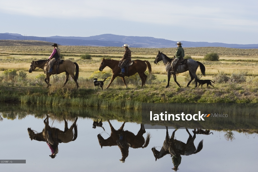 Vaqueros y una vaquera montando par de caballo doméstico (caballus de Equus) al lado del estanque, O