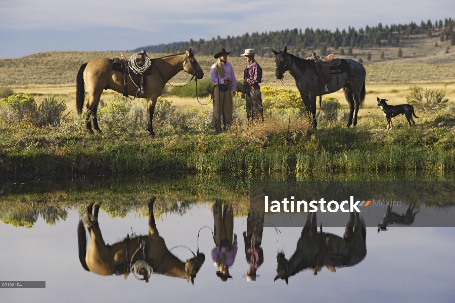 Nacional caballo (Equus caballus) grupo vaquero y cowgirl, Oregon