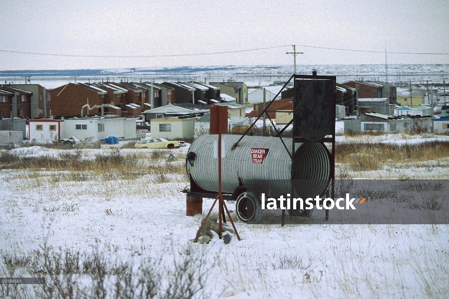 Trampa de oso polar (Ursus maritimus) en la afueras de la ciudad, Churchill, Manitoba, Canadá