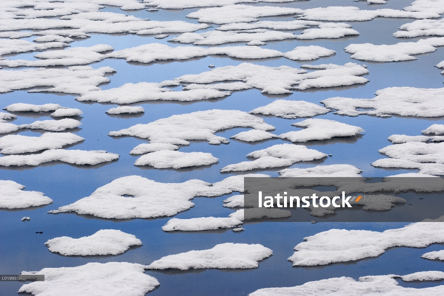 Témpanos de hielo, Spitsbergen, Noruega