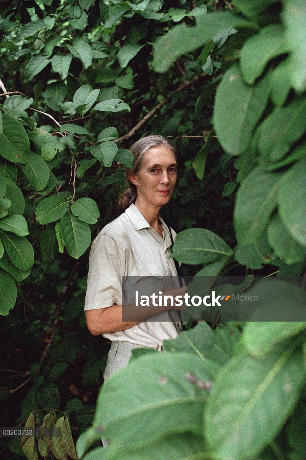 Retrato de Jane Goodall, Parque Nacional de Gombe Stream, Tanzania