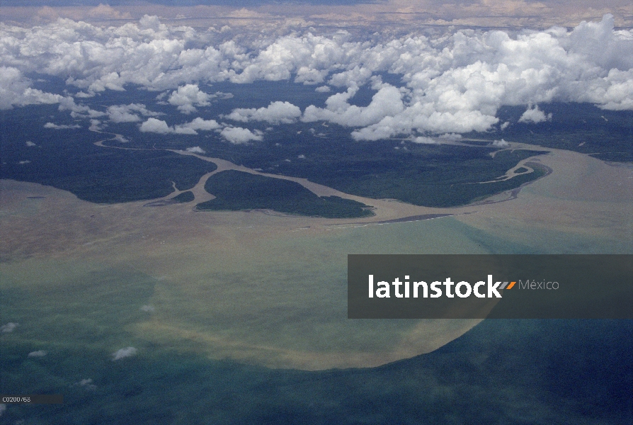 Escorrentía aluvial de hasta la erosión de la corriente, selva tropical en el Golfo Costa, Papua Nue