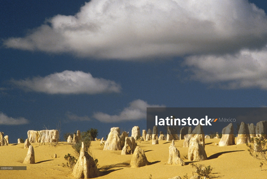 Formaciones de Pinnacle en el Parque Nacional Nambung, Australia occidental