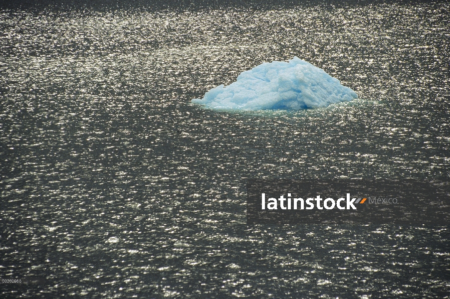 Icebergs en el estrecho de Bransfield, Península Antártica, Antártida