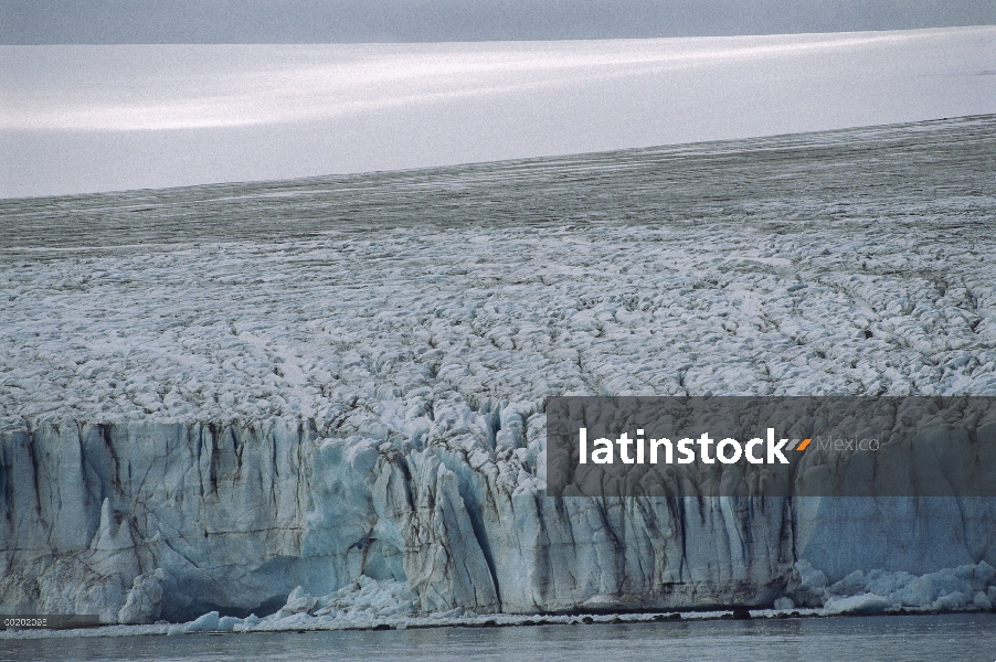 Campo glacial en el puerto de Yankee, Península Antártica, Isla Livingston, Antártica