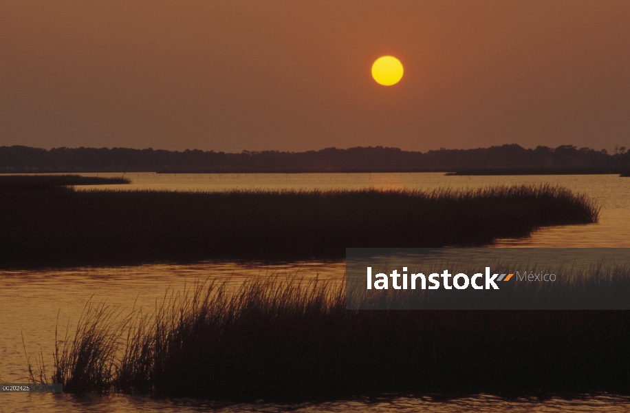 Salinas al atardecer, isla de Assateague National Seashore, Maryland