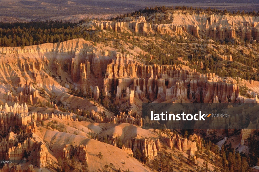 Formaciones de Hoodoo en Bryce Amphitheater desde Bryce, Parque Nacional Bryce Canyon, Utah