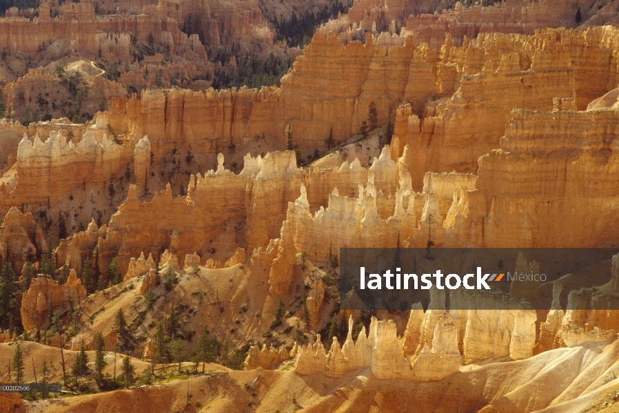 Hoodoos formaciones desde el punto de salida del sol, Parque Nacional Bryce Canyon, Utah