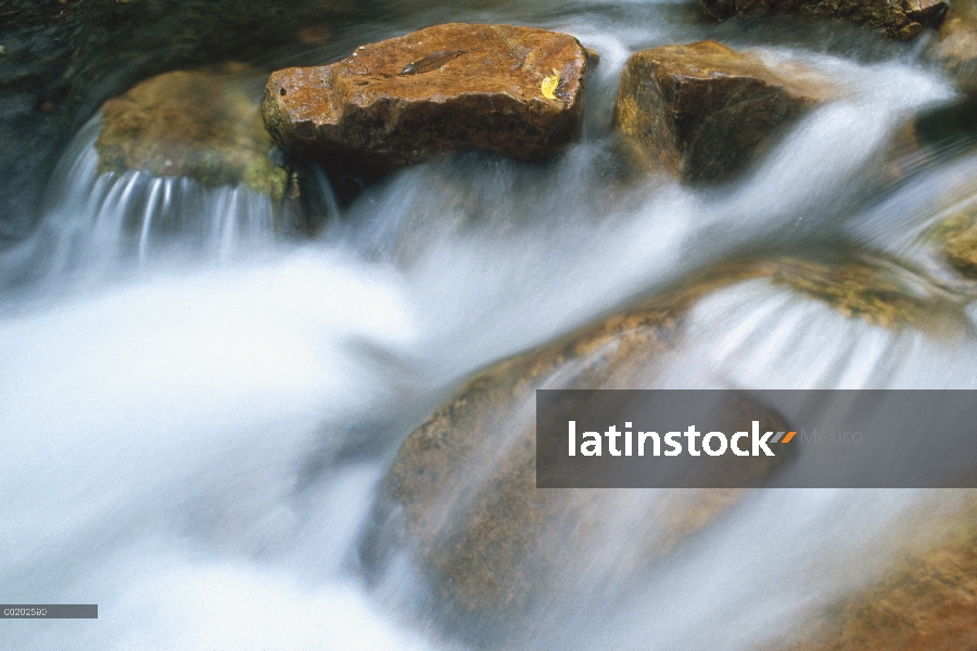 Cerca de Tolmer Creek, Parque Nacional de Litchfield, territorio norteño, Australia