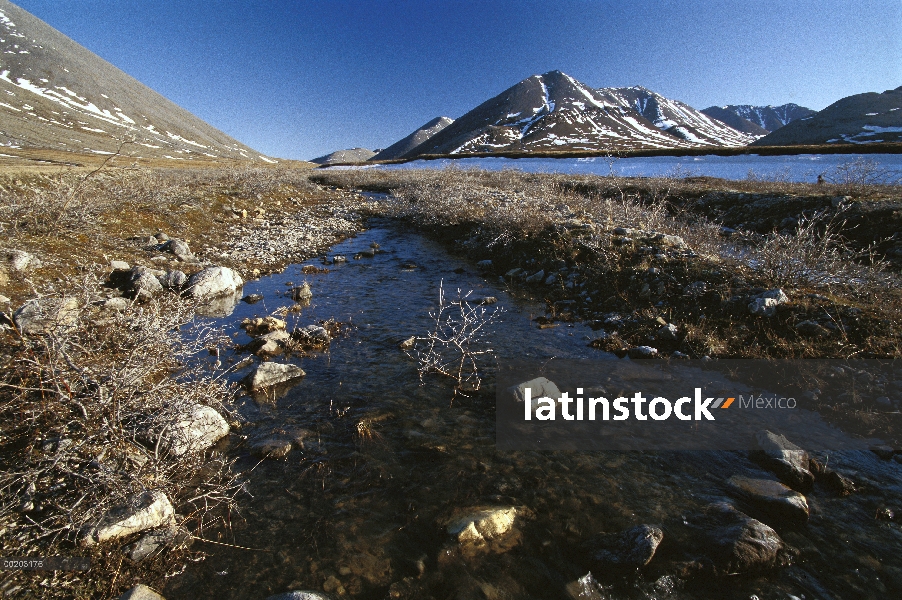 Flujo de corriente sobre la tundra, Arctic National Wildlife Refuge, Alaska