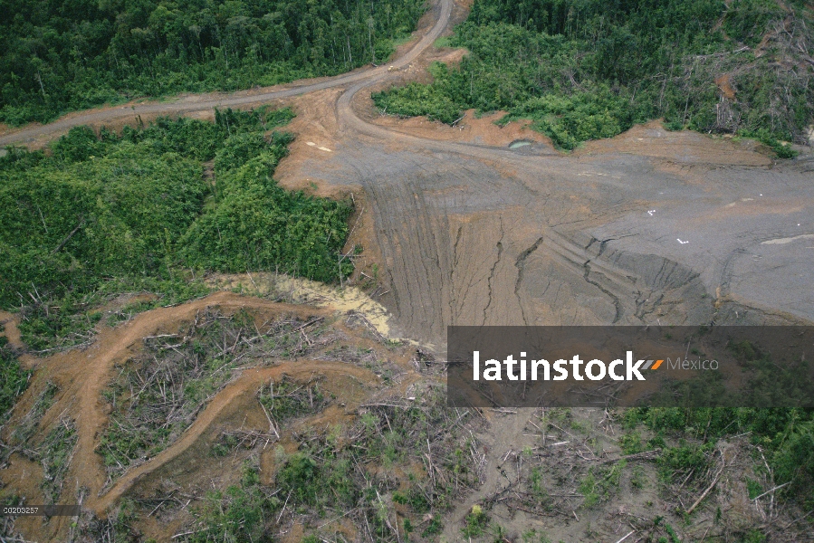 Actividades de tala de la selva cerca de límite oriental de la Kikori Delta, Papua Nueva Guinea